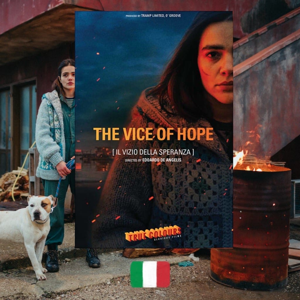 The Vice of Hope movie poster