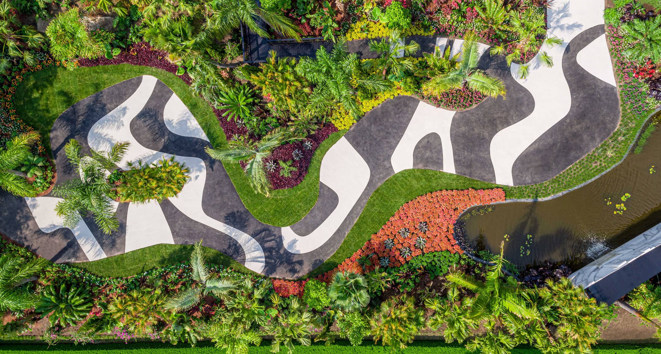 Brazilian Modern, The Living Art of Roberto Burle Marx at New York Botanical Garden