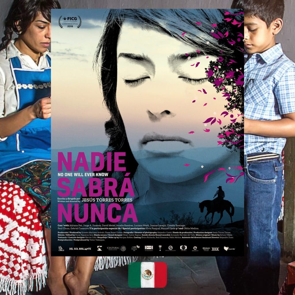 Jesús Torres Torres, No One Will Ever Know, movie poster
