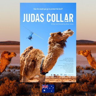 Judas Collar, Alison James, film poster